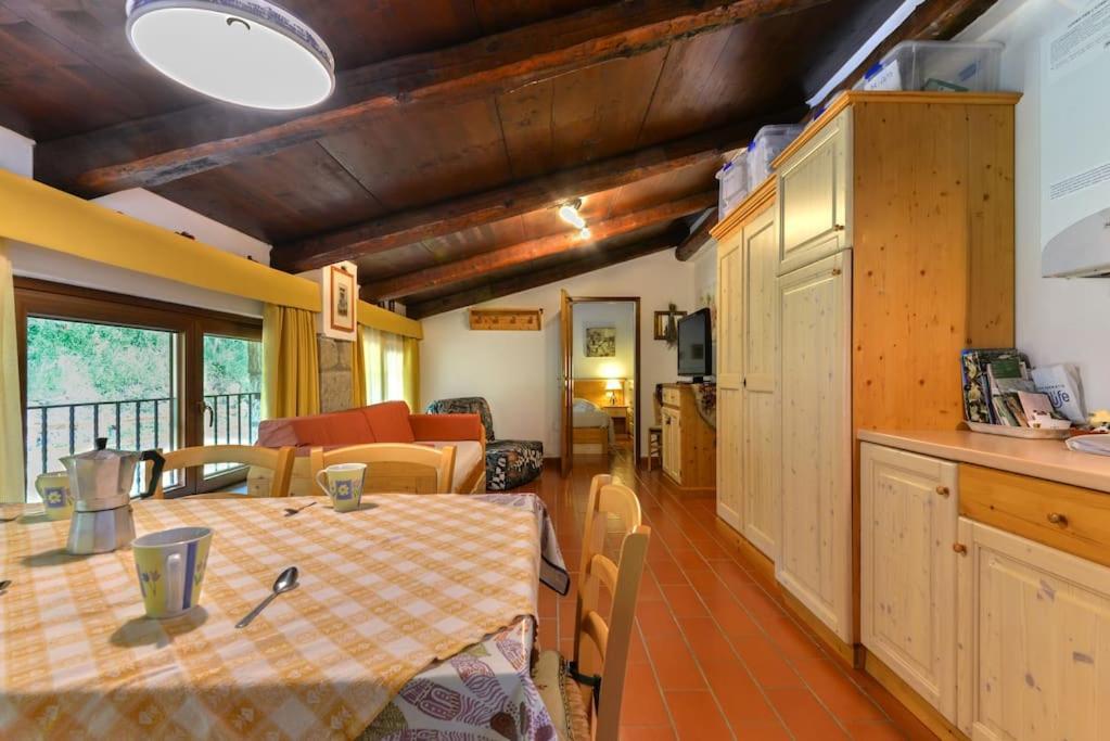 38-Volpini House In Amiata - Val D'Orcia, Saturnia, Feste&Sagre Castel del Piano  Exteriör bild
